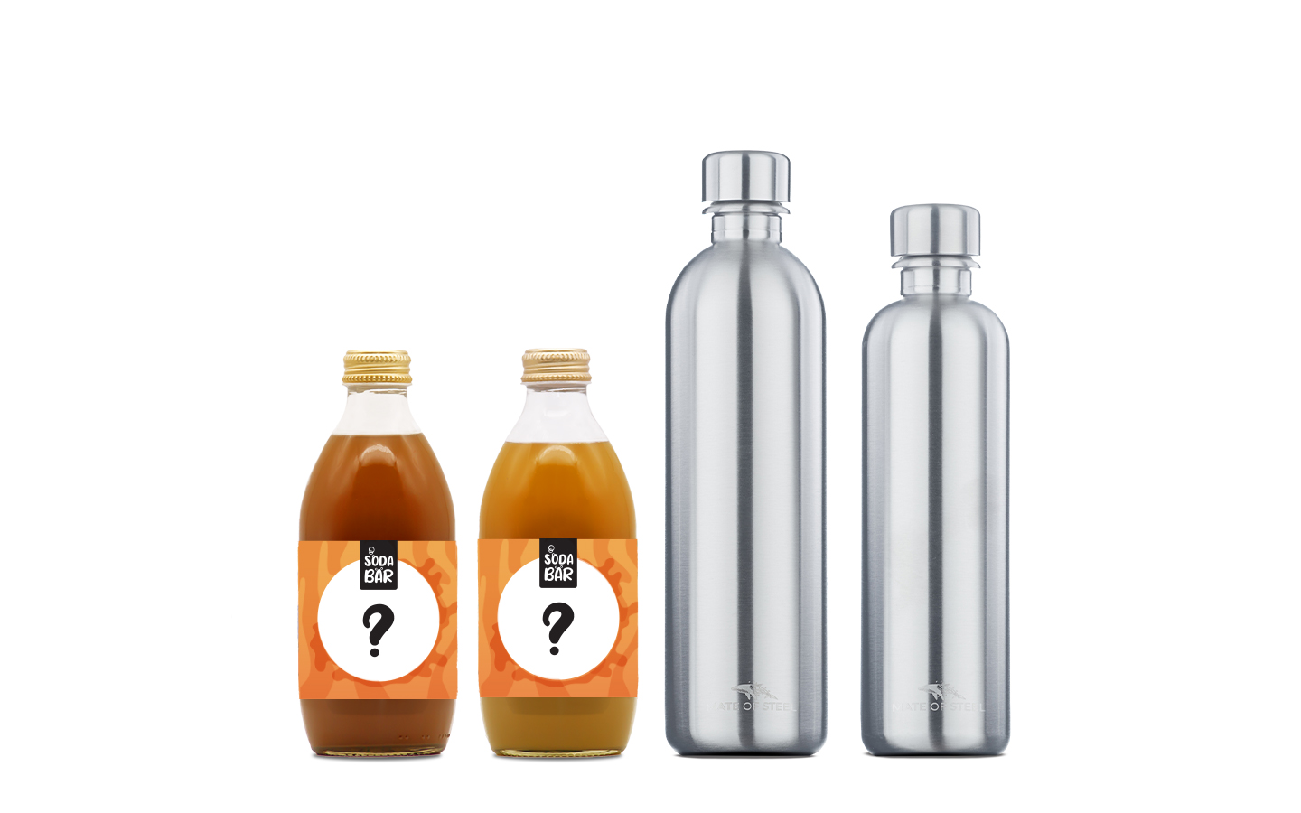 Geschenkbox #3: 2xSirup / 2xEdelstahlflasche
