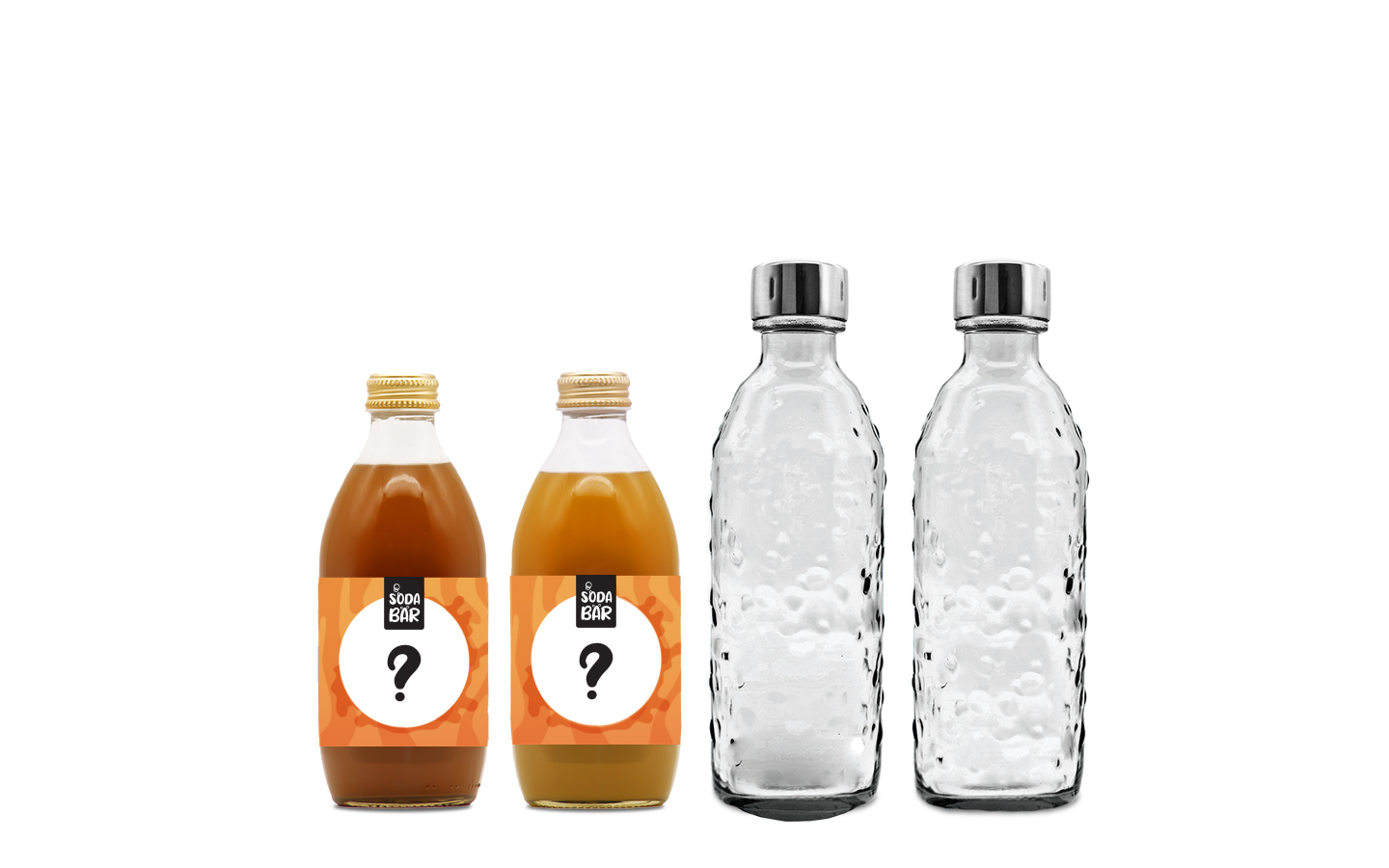Geschenkbox #4: 2xSirup / 2xGlasflasche