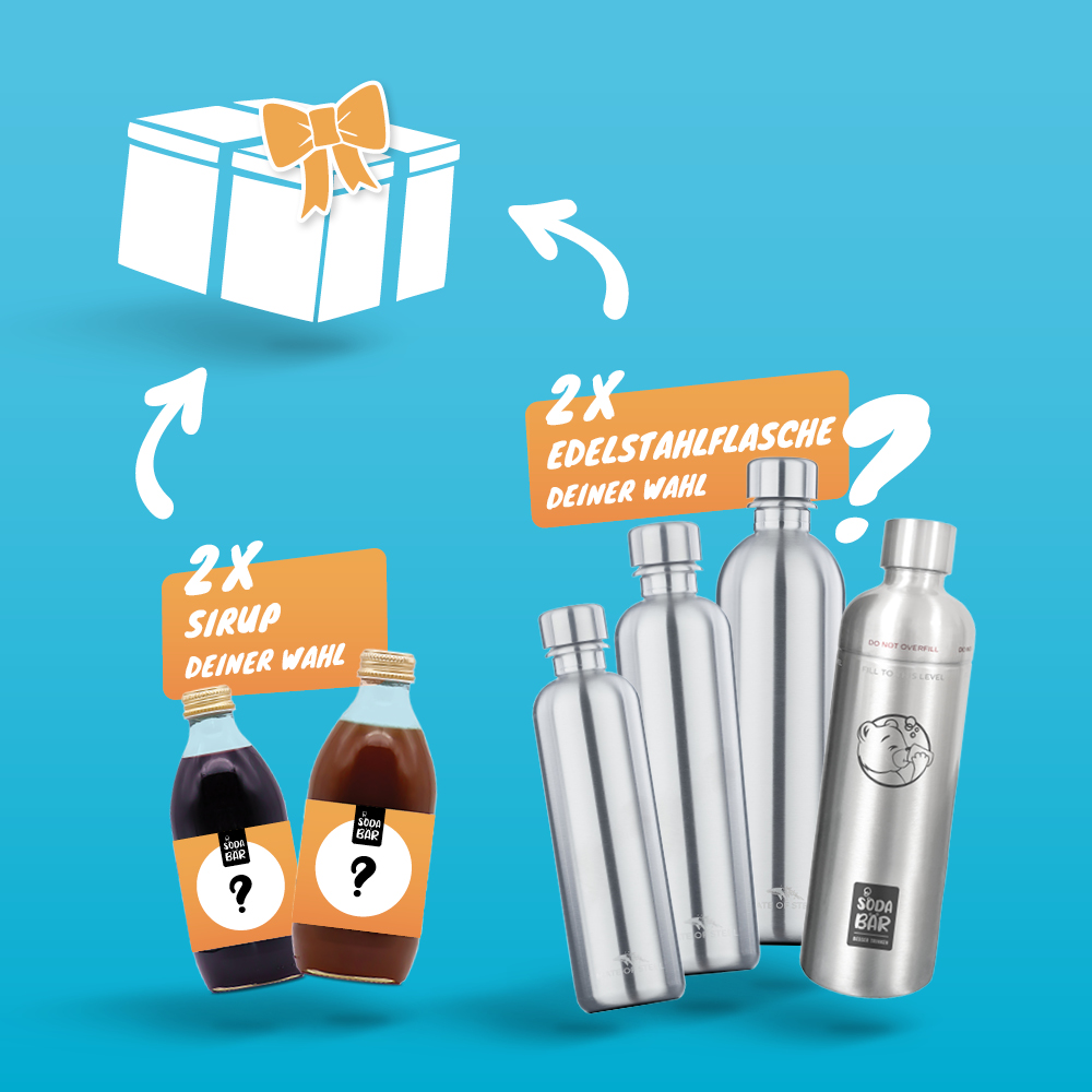 Geschenkbox #3: 2xSirup / 2xEdelstahlflasche
