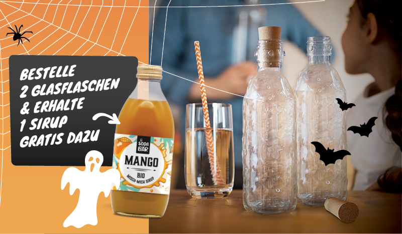 2x Glasflasche (Bajonett) + BIO Sirup
