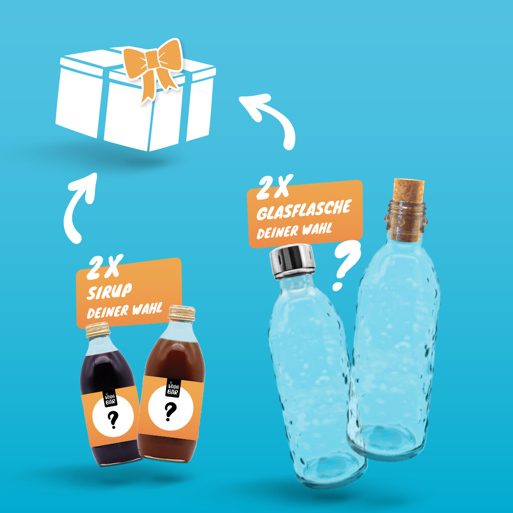 Geschenkbox #4: 2xSirup / 2xGlasflasche